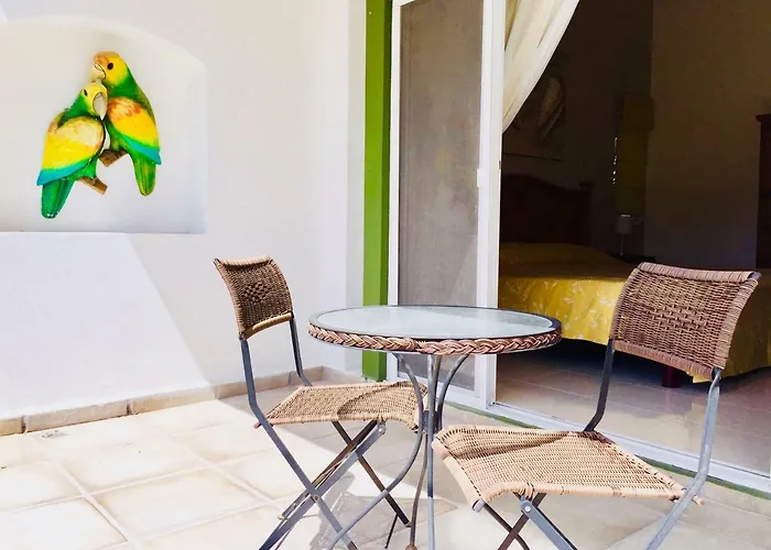 Gorgeous 11 People Comfort With Pool Playacar Phase 2 Villa