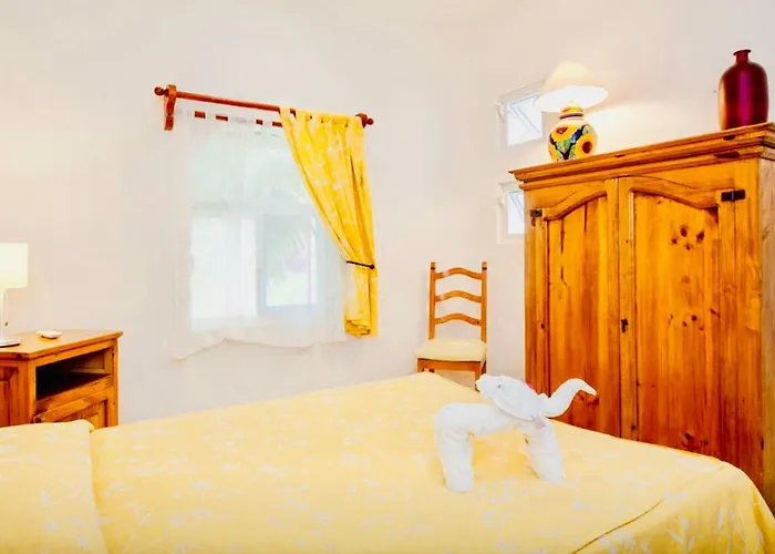 Gorgeous 11 People Comfort With Pool Playacar Phase 2 Villa