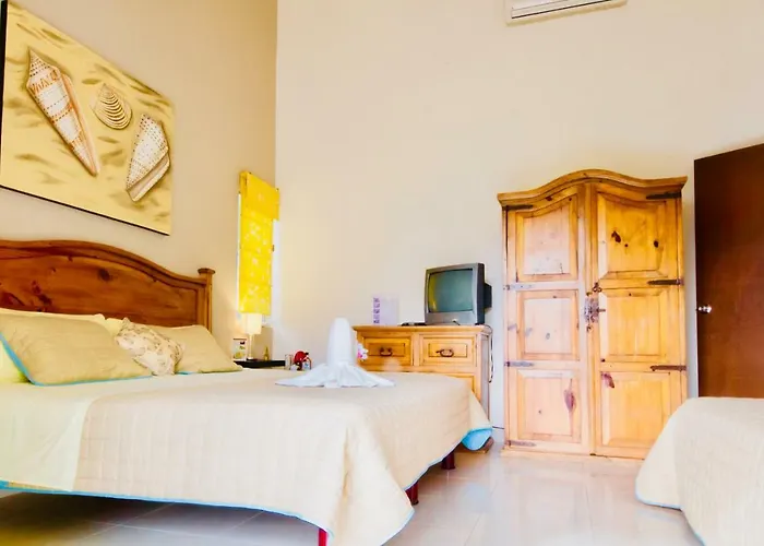 Gorgeous 11 People Comfort With Pool Playacar Phase 2 Villa Playa del Carmen